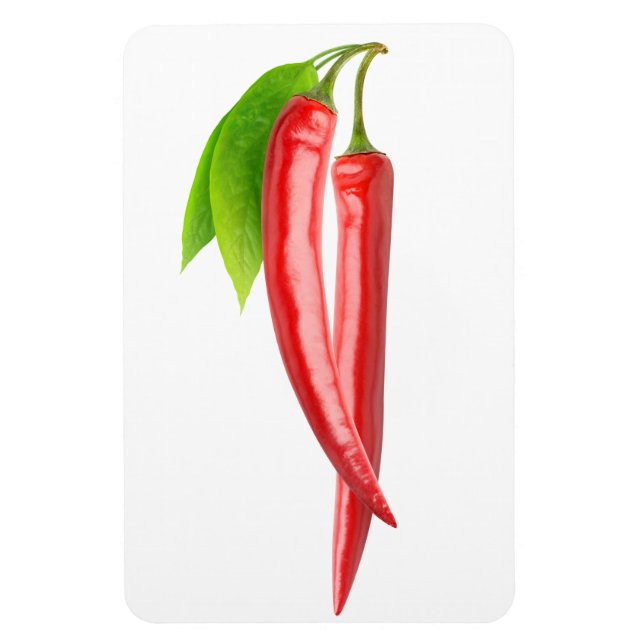 Two chillies with leaf magnet (Vertical)