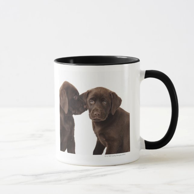 Two chocolate Labrador Retriever Puppies Mug (Right)