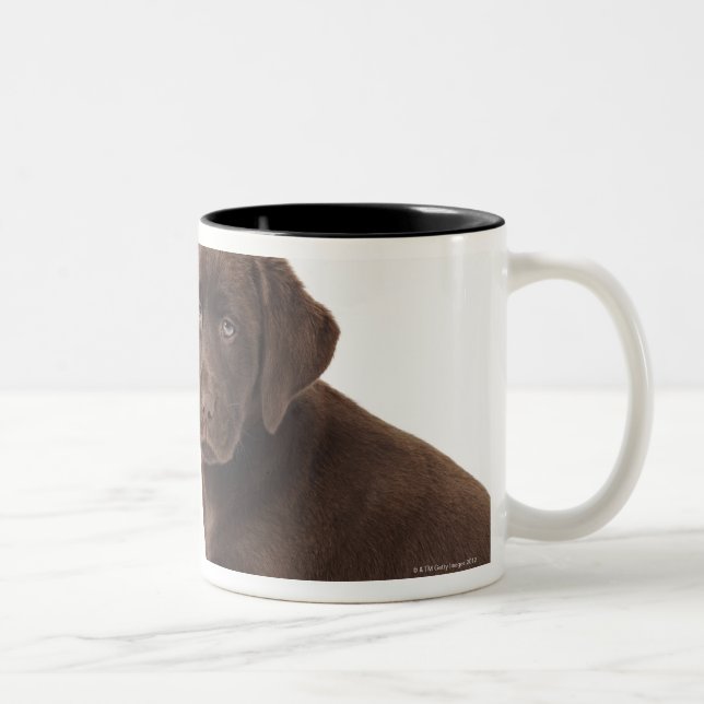 Two chocolate Labrador Retriever Puppies Two-Tone Coffee Mug (Right)