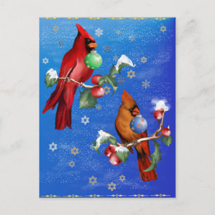 Two Christmas Birds  Postcard