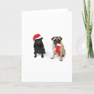 Two christmas pugs holiday card