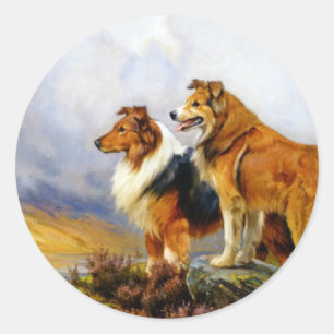 Two Collie Dogs above a Lake Classic Round Sticker