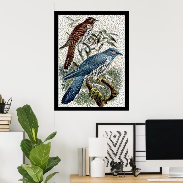 Two Colored Cuckoo Birds in Textured Poster (Home Office)