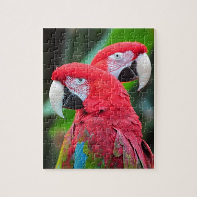 Two colorful macaw parrots jigsaw puzzle (Vertical)