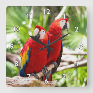 Two Colorful Parrots on a Tree Branch Square Wall Clock