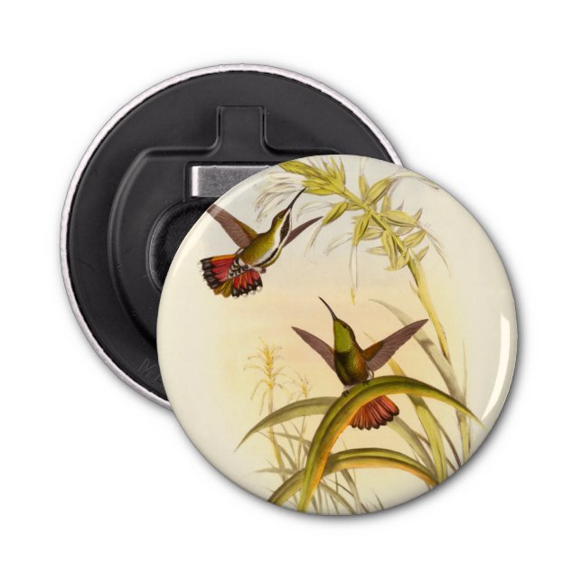 Two Colourful Hummingbirds Aiming for Same Flower Bottle Opener (Front)