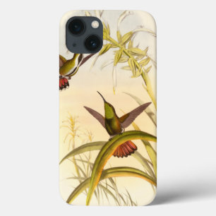 Two Colourful Hummingbirds Aiming for Same Flower iPhone 13 Case