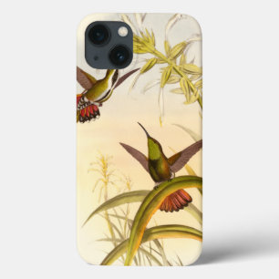 Two Colourful Hummingbirds Aiming for Same Flower iPhone 13 Case