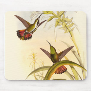 Two Colourful Hummingbirds Aiming for Same Flower Mouse Mat