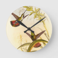 Two Colourful Hummingbirds Aiming for Same Flower