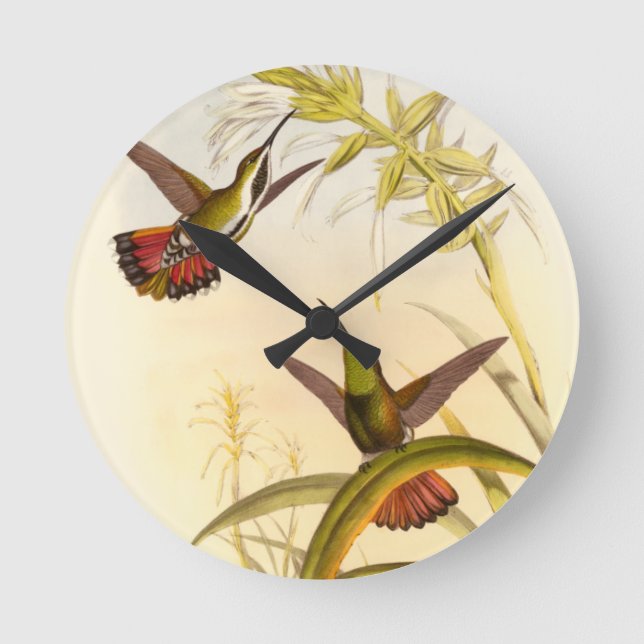 Two Colourful Hummingbirds Aiming for Same Flower Round Clock (Front)