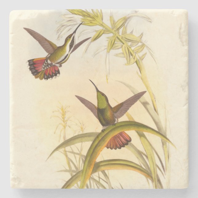 Two Colourful Hummingbirds Aiming for Same Flower Stone Coaster (Front)