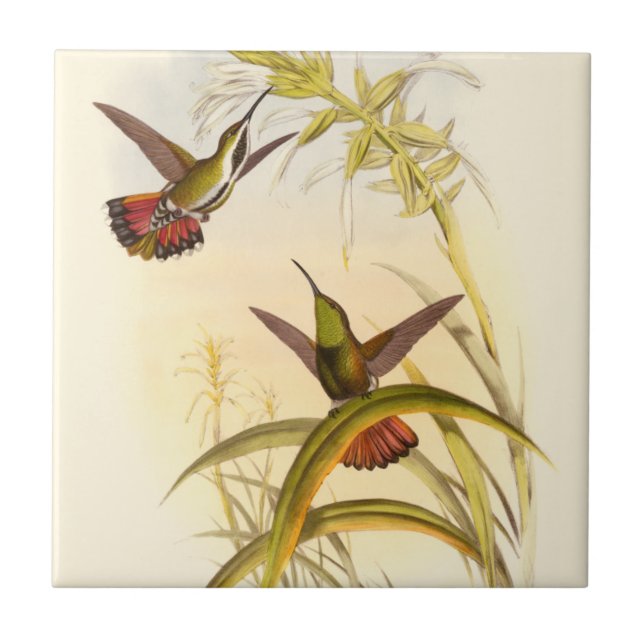 Two Colourful Hummingbirds Aiming for Same Flower Tile (Front)