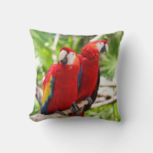 Two Colourful Parrots on a Tree Branch Cushion