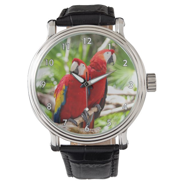 Two Colourful Parrots on a Tree Branch Watch (Front)