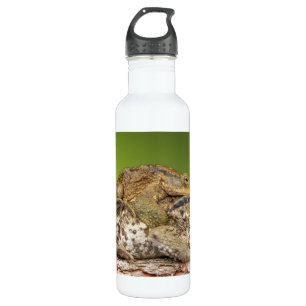 Two Common Toads Bufo Bufo Together 710 Ml Water Bottle