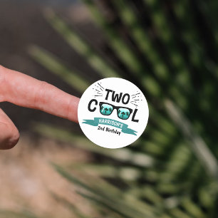 Two Cool Boys 2nd Birthday Classic Round Sticker