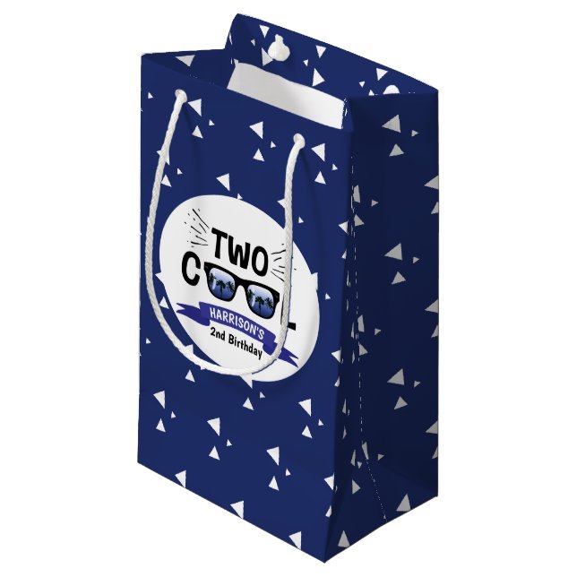 Two Cool Boys 2nd Birthday Party Small Gift Bag (Front Angled)