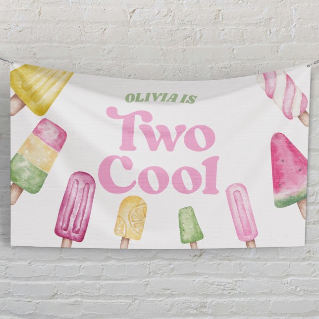 Two Cool Pink Retro Popsicle 2nd Birthday Party Banner (Creator Uploaded)
