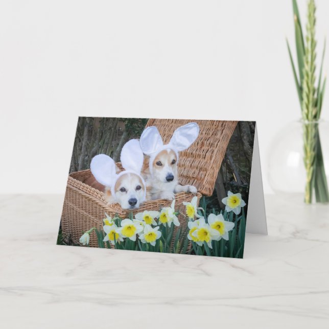 Two Corgis in a Basket Easter greeting card (Front)