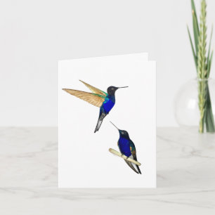 Two Coronet Hummingbirds Greeting Card