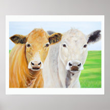 Two Cows For Oklahoma 16 x 20 Print