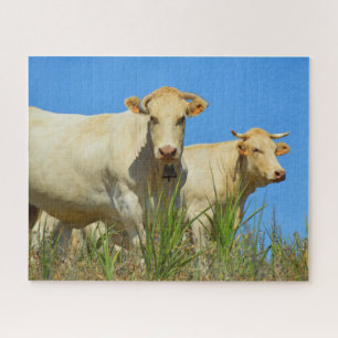 Two cows in France animal Jigsaw Puzzle