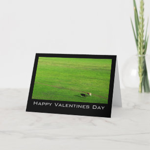 Two Cows on Panoramic Pasture Holiday Card