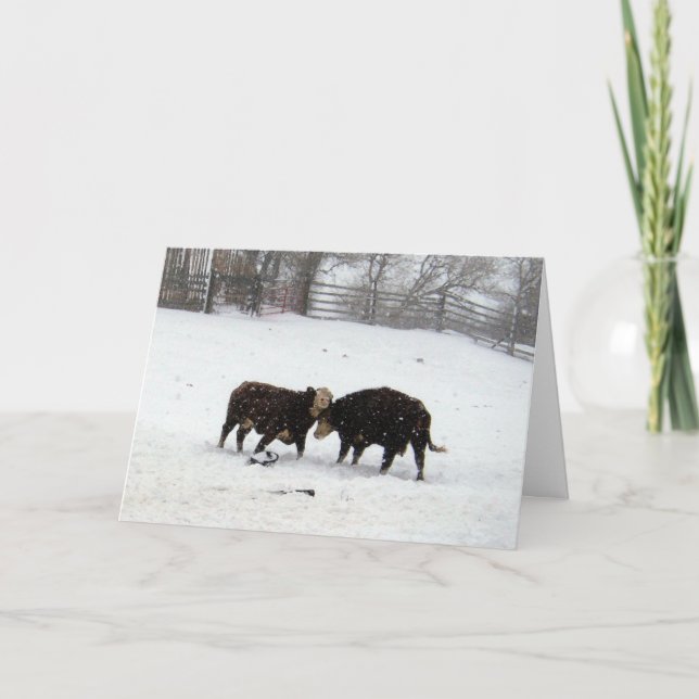 Two Cows While Snowing Thank You Card (Front)
