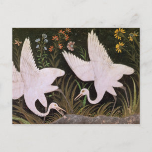 Two Cranes on the Edge of a Pond Postcard