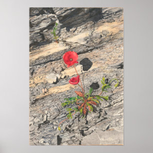 Two Crumbly Cretaceous Poster