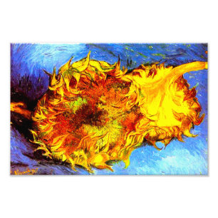 Two Cut Sunflowers Van Gogh Photo Print