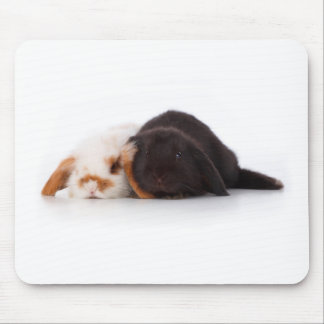 Two cute baby bunnies mouse mat