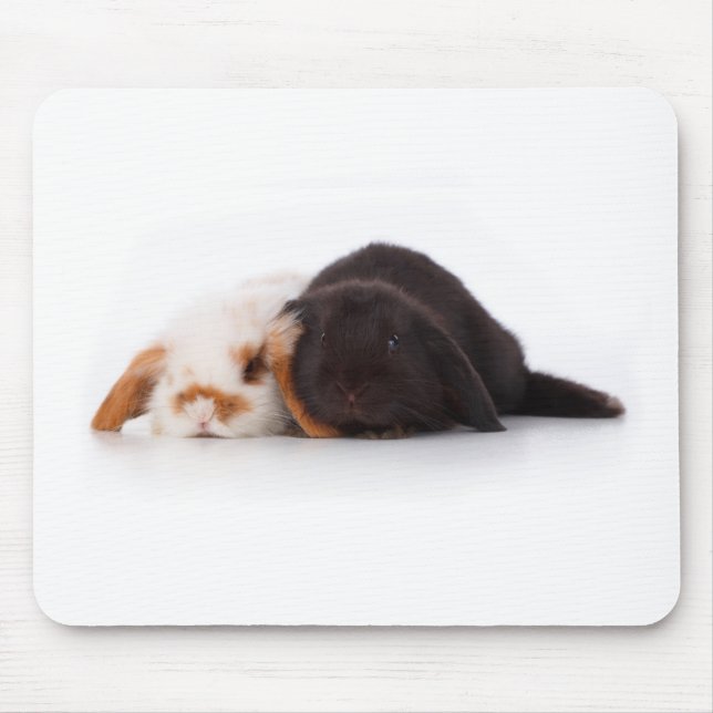 Two cute baby bunnies mouse mat (Front)