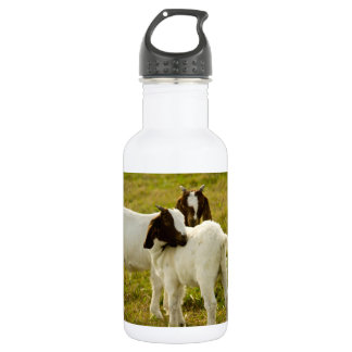 Two Cute Boer Goats 532 Ml Water Bottle