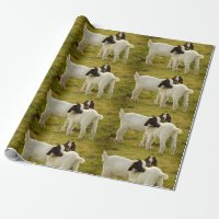 Two Cute Boer Goats in Field Rustic Farm Animal
