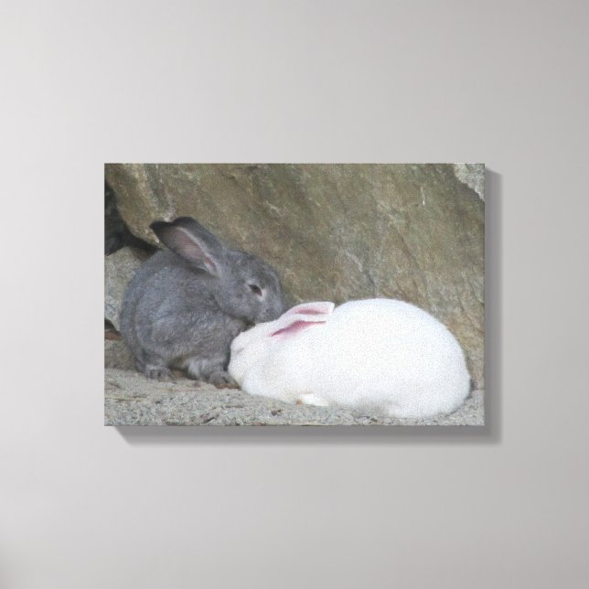 Two Cute Bunny Rabbits Canvas Print (Front)