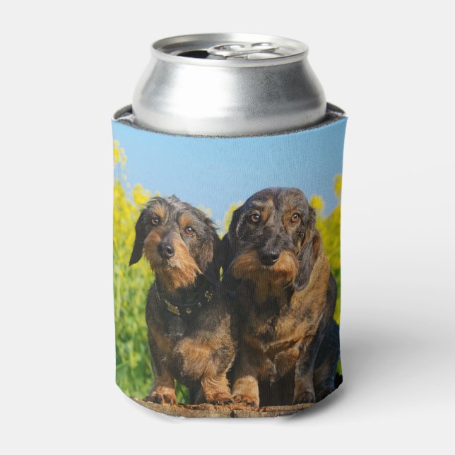 Two Cute Dachshund Dogs Dackel Photo Funny Bawdle Can Cooler (Can Front)
