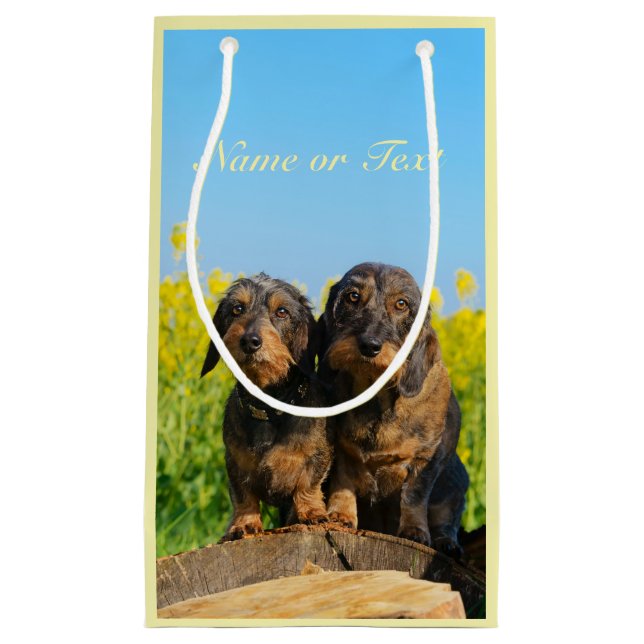 Two Cute Dachshund Dogs Dackel Photo  Personalised Small Gift Bag (Front)
