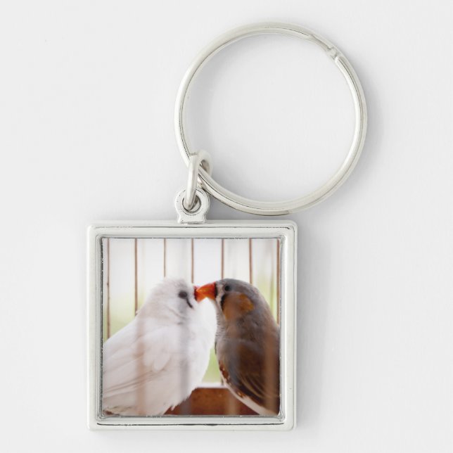 Two Cute Finch Birds in Cage Key Ring (Front)