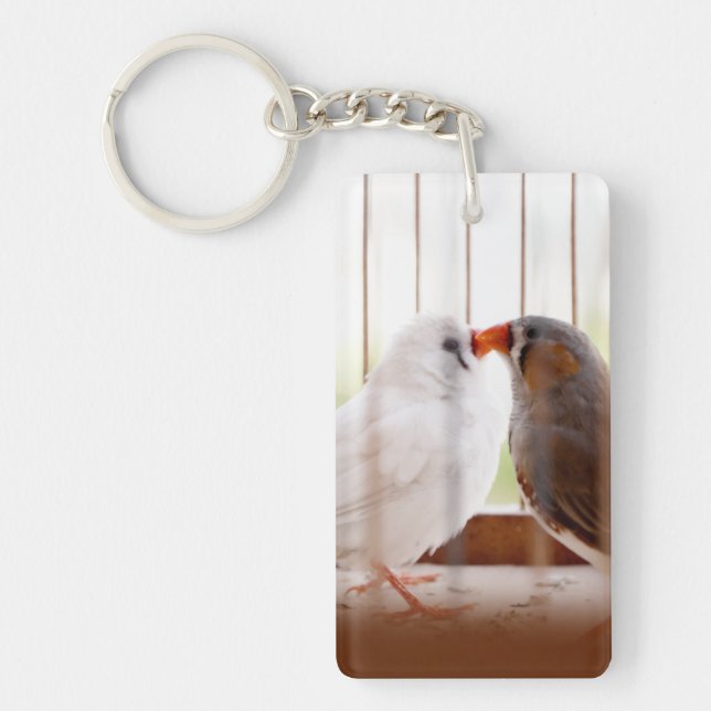 Two Cute Finch Birds in Cage Key Ring (Front)