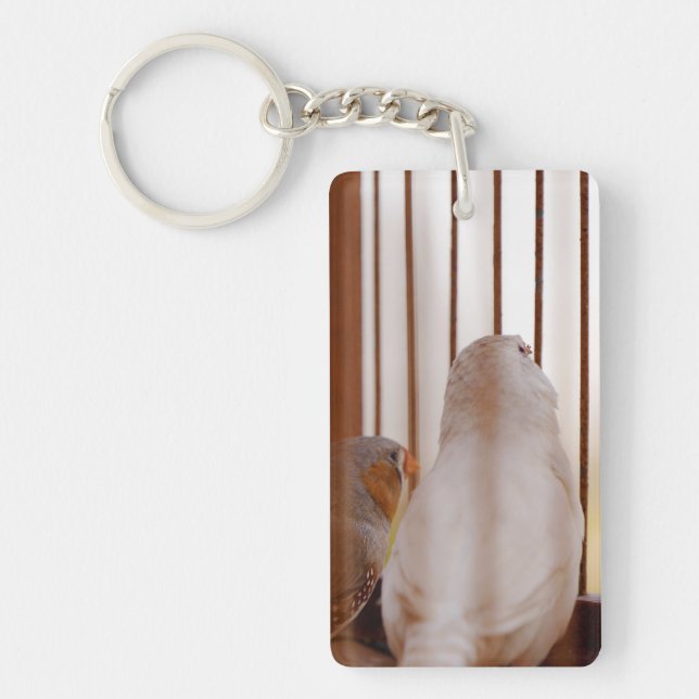 Two Cute Finch Birds in Cage Key Ring (Front)
