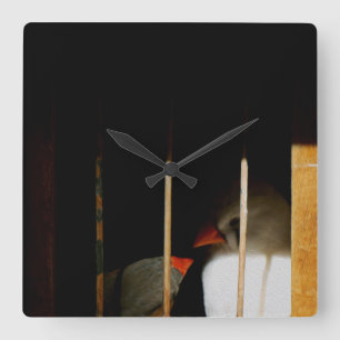 Two Cute Finch Birds in Cage Square Wall Clock