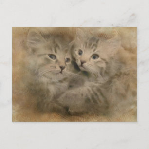 Two Cute Grey Striped Kittens In Watercolor Postcard