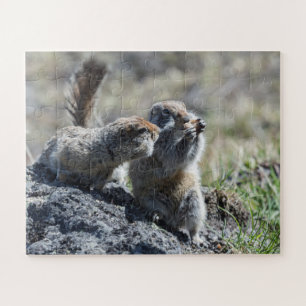 Two cute ground squirrels (gophers, evrazki) jigsaw puzzle