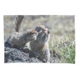 Two cute ground squirrels (gophers, evrazki) pillowcase