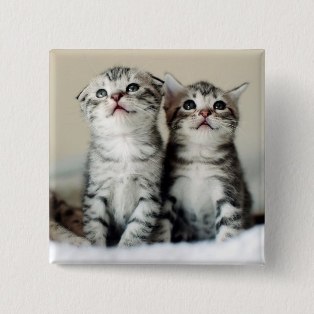 Two Cute Kittens 15 Cm Square Badge (Front)