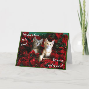 Two Cute Kittens and Red Poinsettias Card