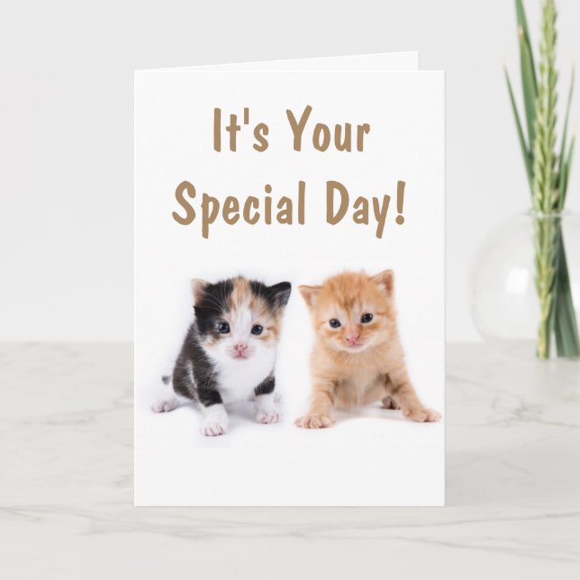 Two Cute Kittens Birthday Card (Front)