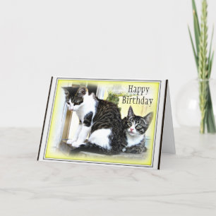 Two cute kittens Birthday card